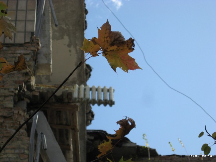 Чернобыльская зона отчуждения