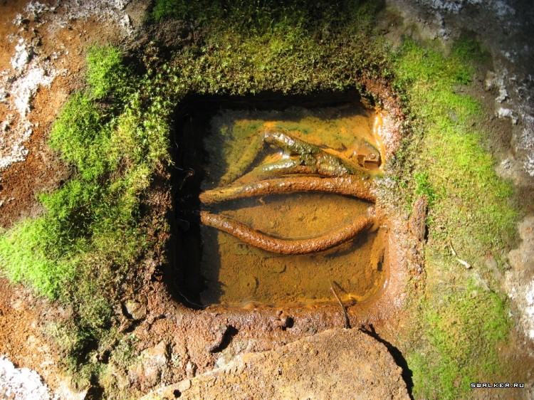 Чернобыльская зона отчуждения