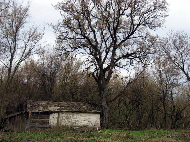 Чернобыльская зона отчуждения