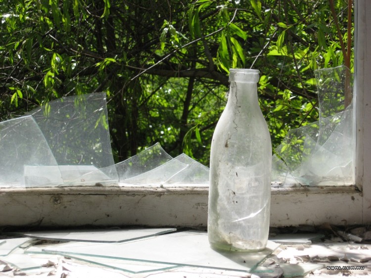 Чернобыльская зона отчуждения