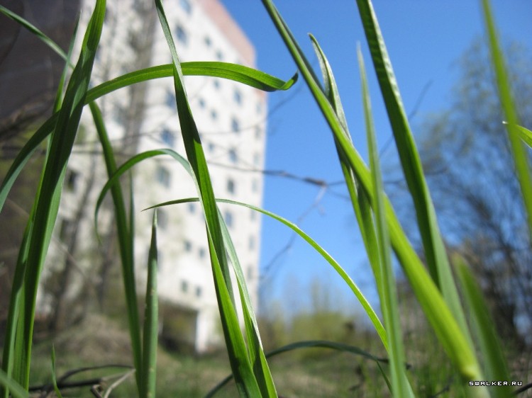 Чернобыльская зона отчуждения