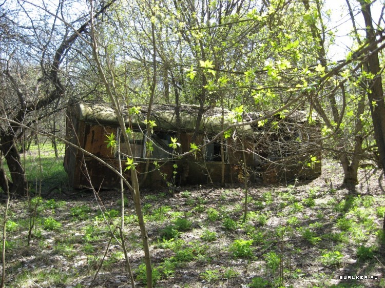 Чернобыльская зона отчуждения