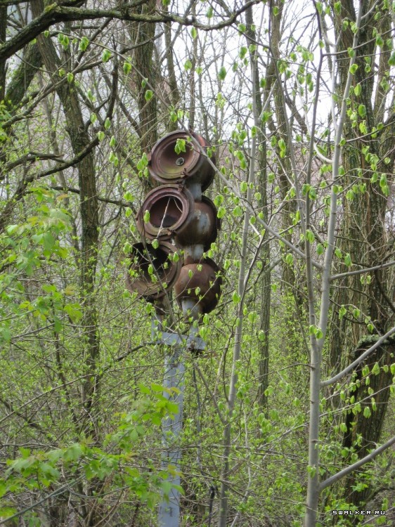Чернобыльская зона отчуждения