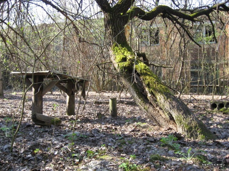 Чернобыльская зона отчуждения