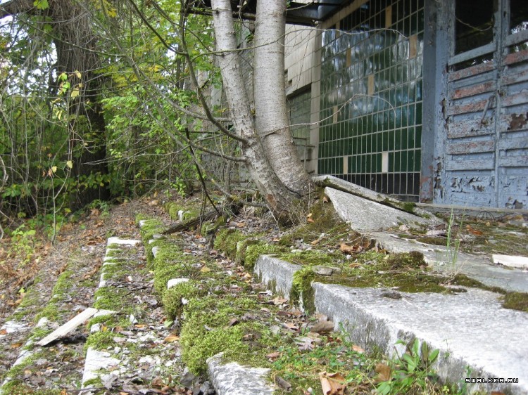 Чернобыльская зона отчуждения