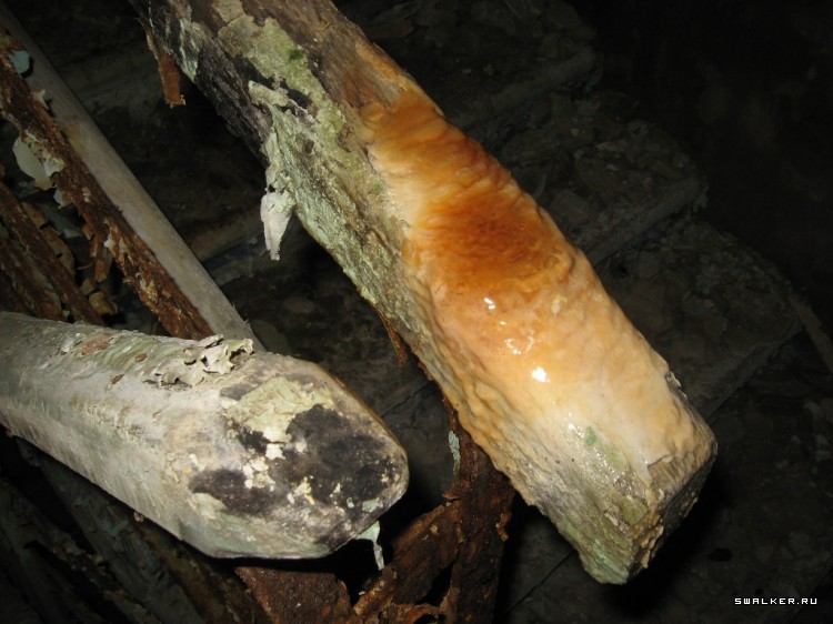 Чернобыльская зона отчуждения