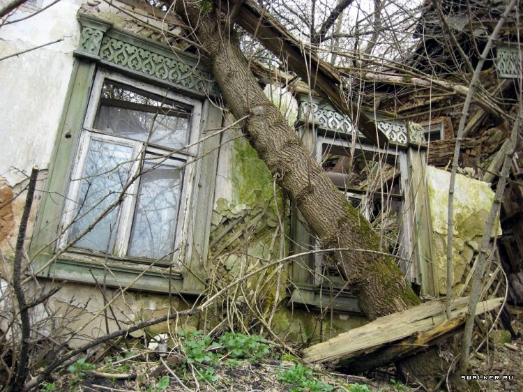 Чернобыльская зона отчуждения