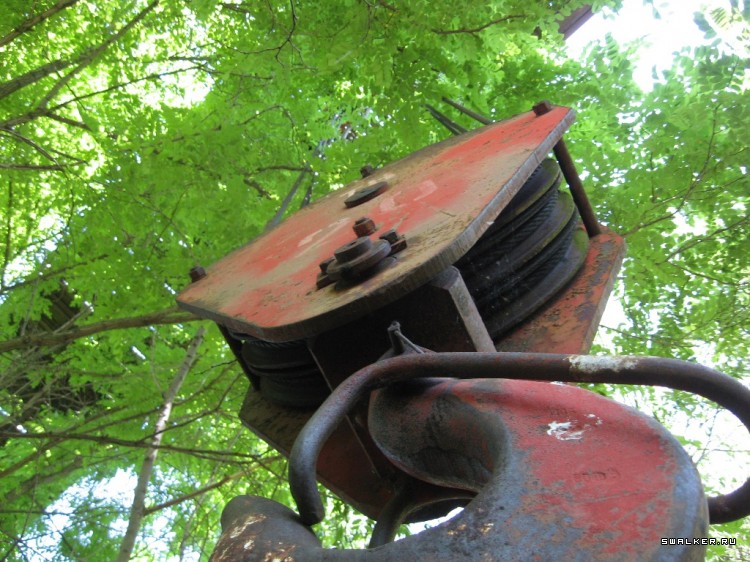 Чернобыльская зона отчуждения