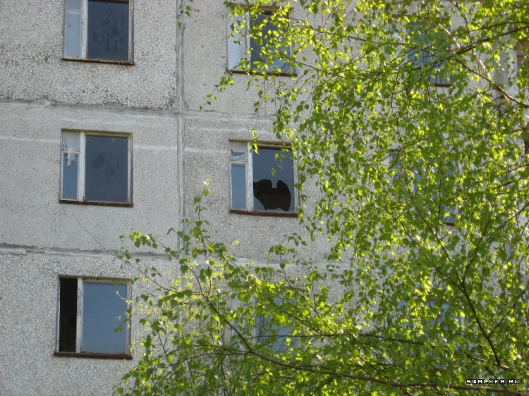 Чернобыльская зона отчуждения