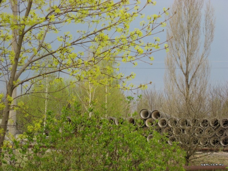 Чернобыльская зона отчуждения