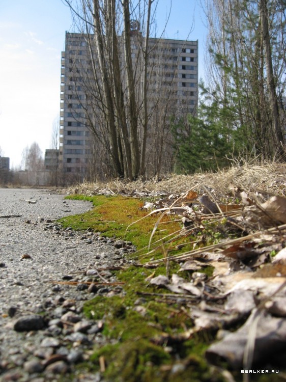 Чернобыльская зона отчуждения