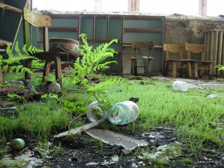 Чернобыльская зона отчуждения