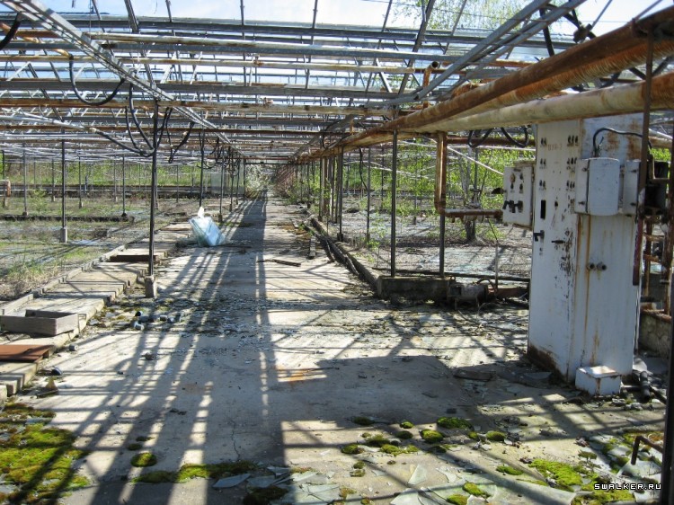 Чернобыльская зона отчуждения