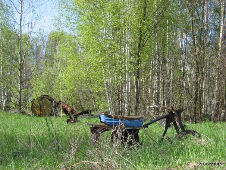 Чернобыльская зона отчуждения