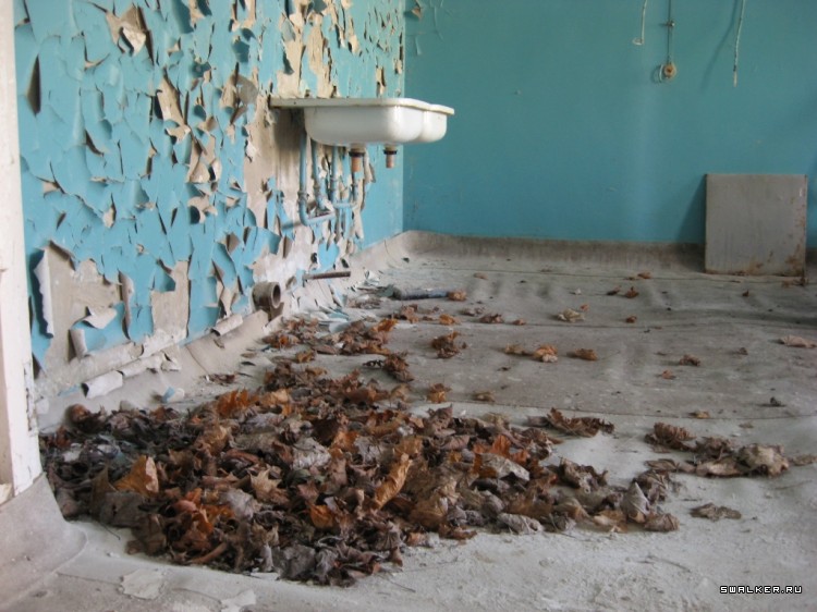 Чернобыльская зона отчуждения