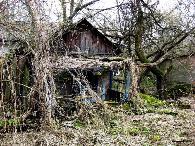 Чернобыльская зона отчуждения