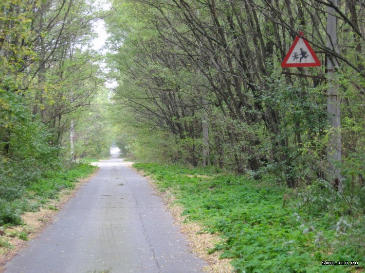 Чернобыльская зона отчуждения