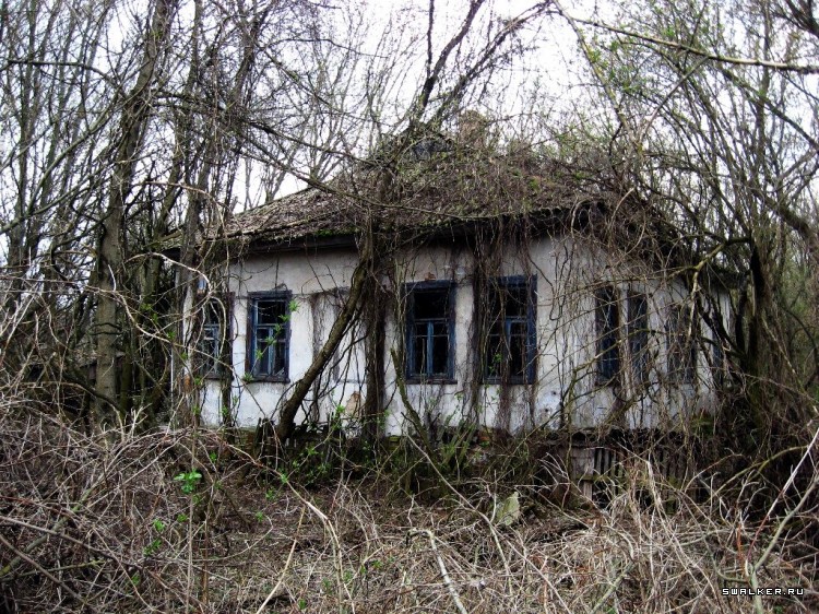 Чернобыльская зона отчуждения