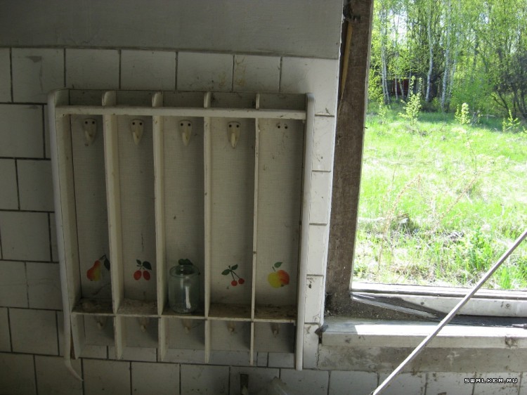 Чернобыльская зона отчуждения