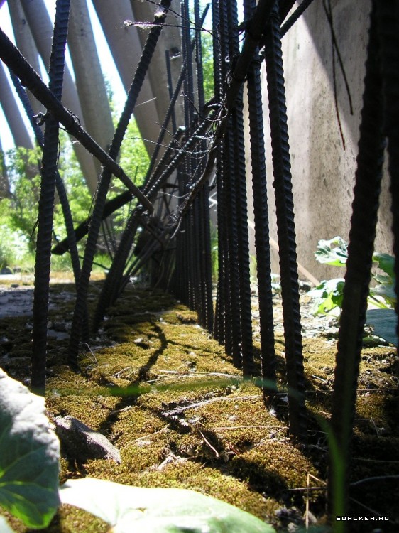 Чернобыльская зона отчуждения