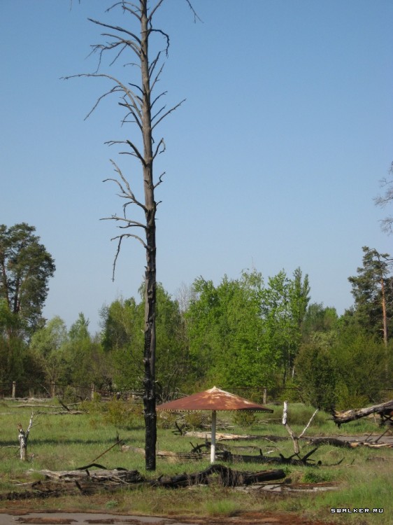 Чернобыльская зона отчуждения