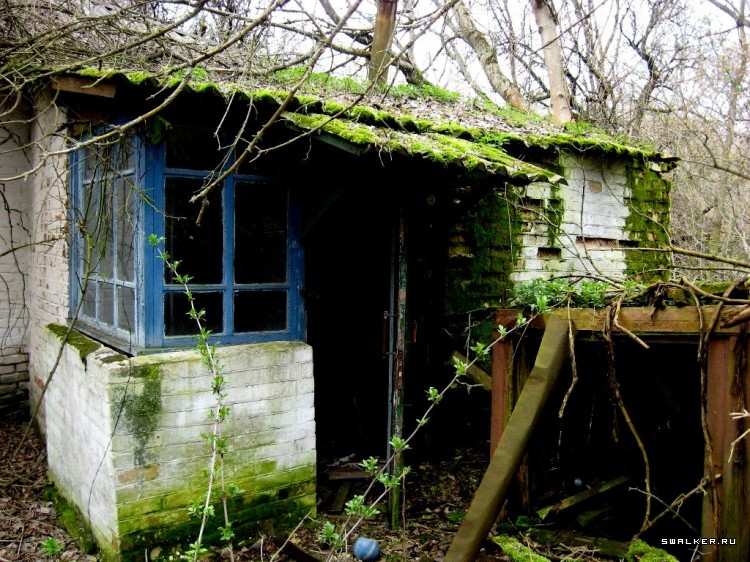 Чернобыльская зона отчуждения