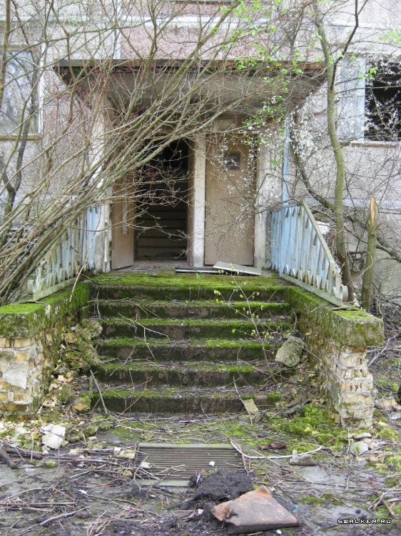 Чернобыльская зона отчуждения