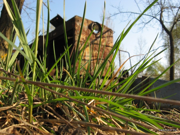 Чернобыльская зона отчуждения