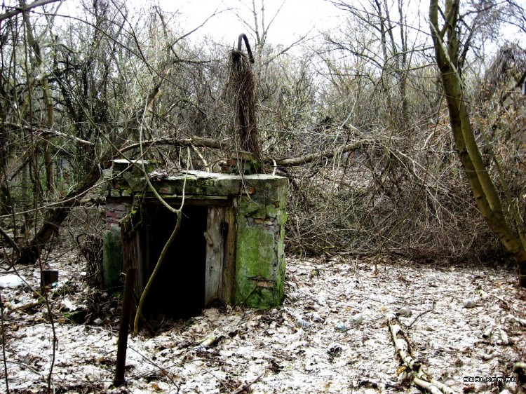 Чернобыльская зона отчуждения