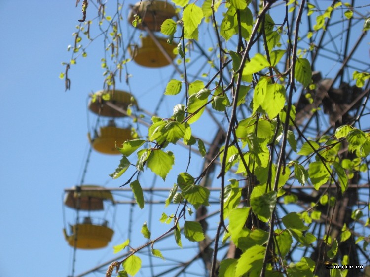 Чернобыльская зона отчуждения