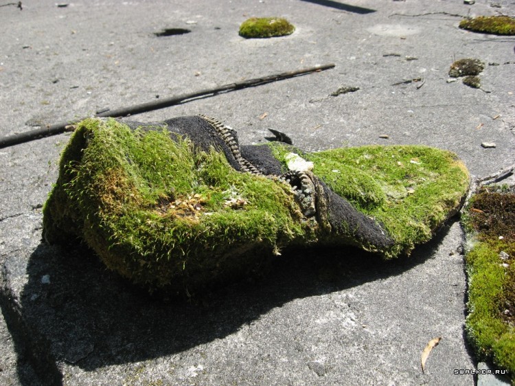 Чернобыльская зона отчуждения