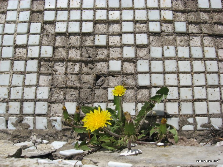 Чернобыльская зона отчуждения