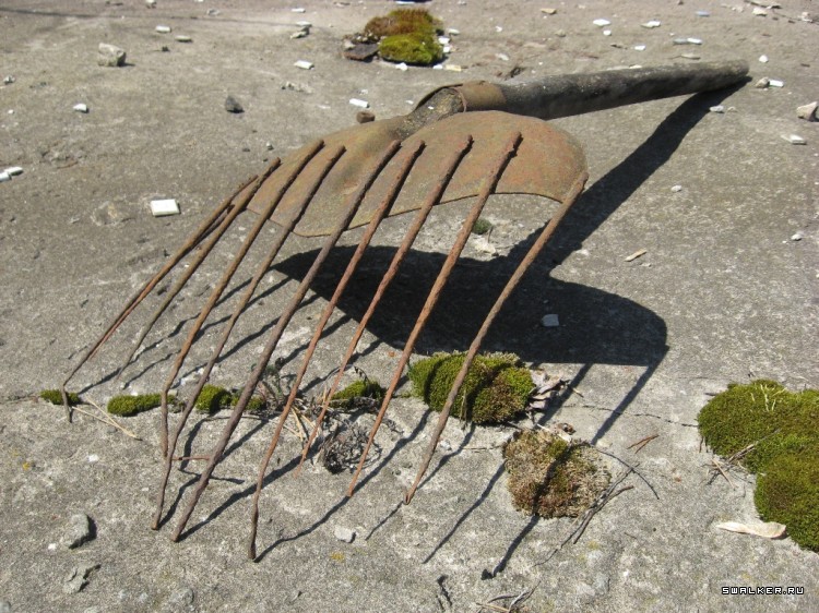 Чернобыльская зона отчуждения