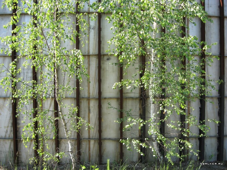 Чернобыльская зона отчуждения