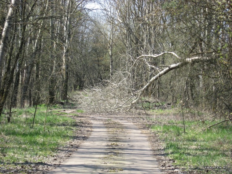 Чернобыльская зона отчуждения