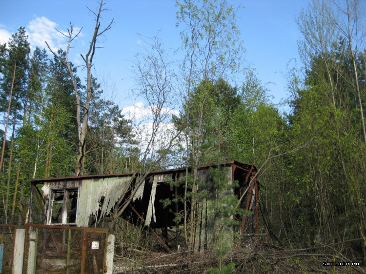 Чернобыльская зона отчуждения