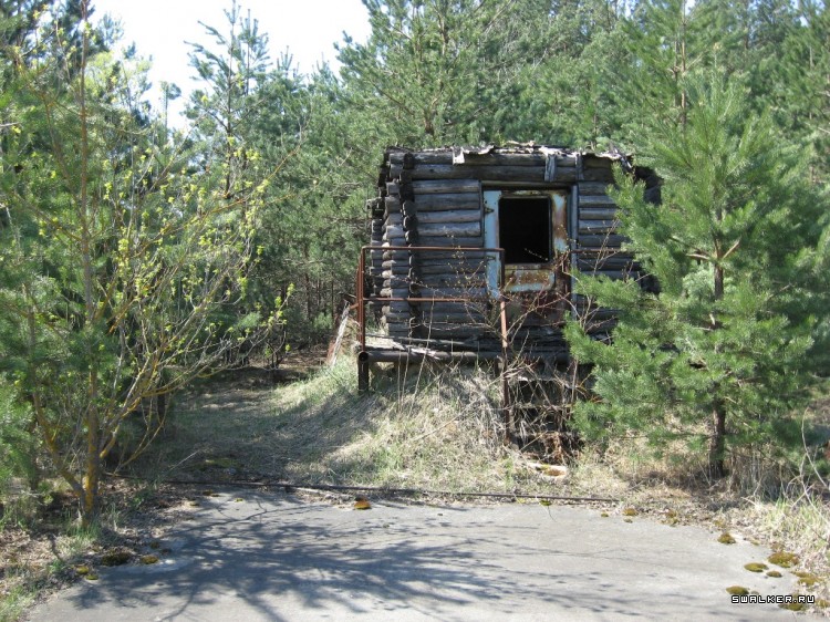 Чернобыльская зона отчуждения