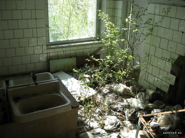 Чернобыльская зона отчуждения