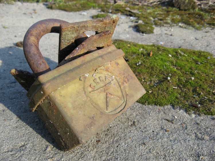 Чернобыльская зона отчуждения