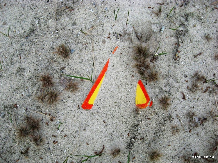 Чернобыльская зона отчуждения