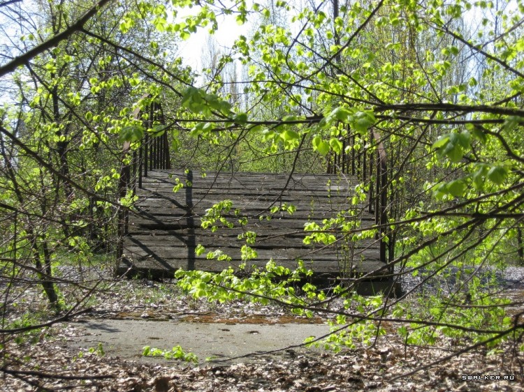 Чернобыльская зона отчуждения