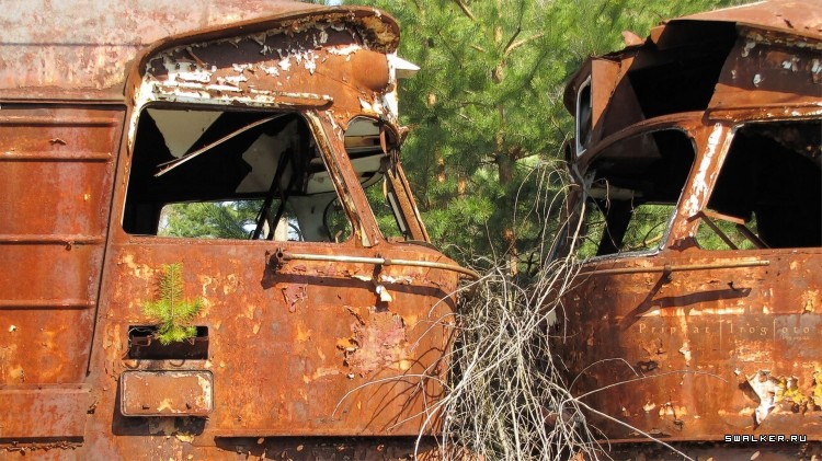 Чернобыльская зона отчуждения