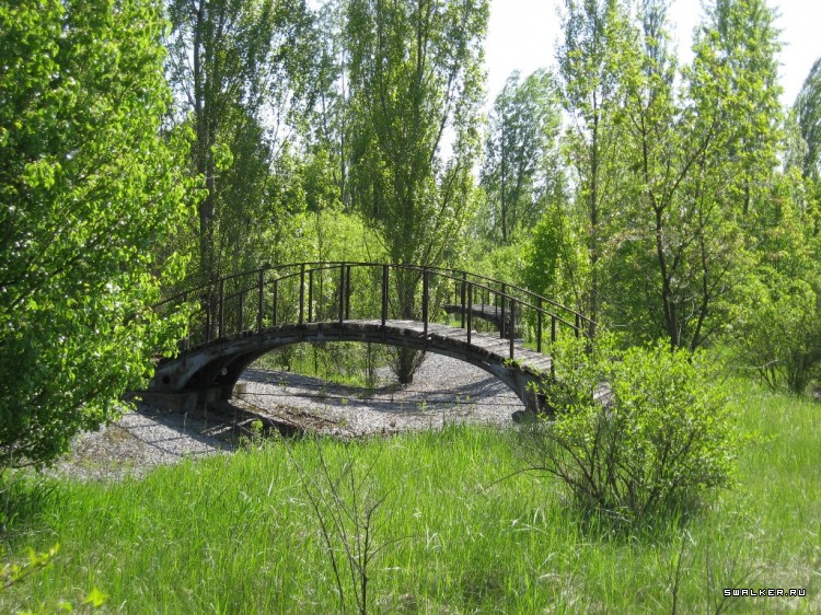 Чернобыльская зона отчуждения