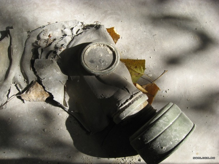 Чернобыльская зона отчуждения