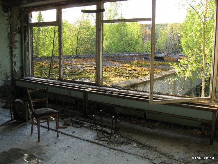 Чернобыльская зона отчуждения