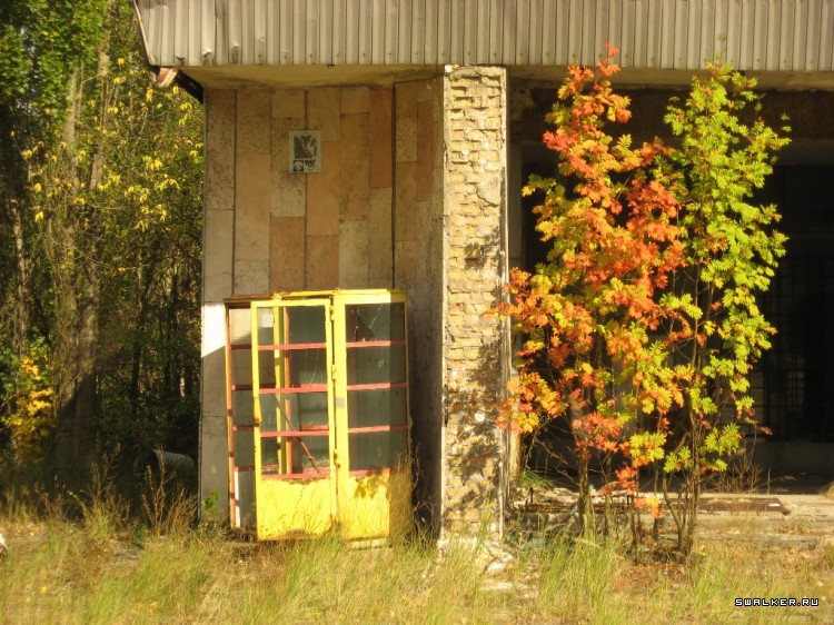 Чернобыльская зона отчуждения