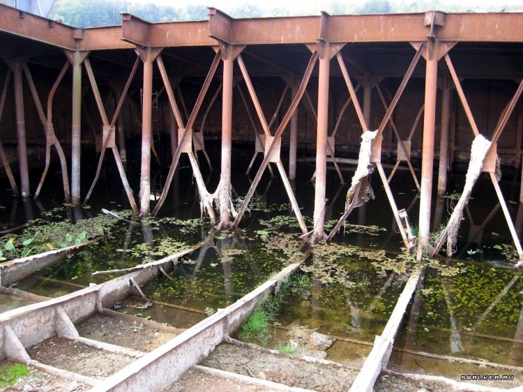 Чернобыльская зона отчуждения