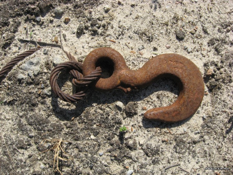 Чернобыльская зона отчуждения