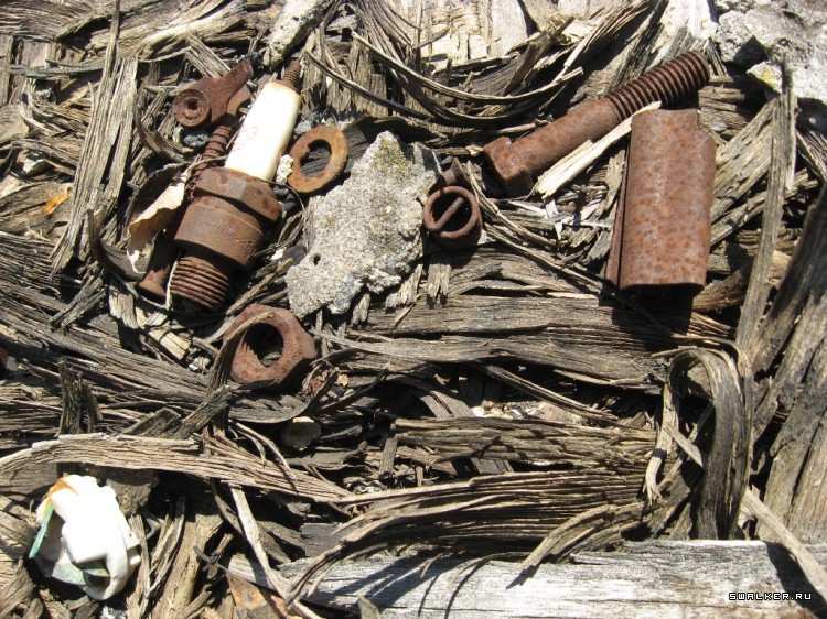 Чернобыльская зона отчуждения