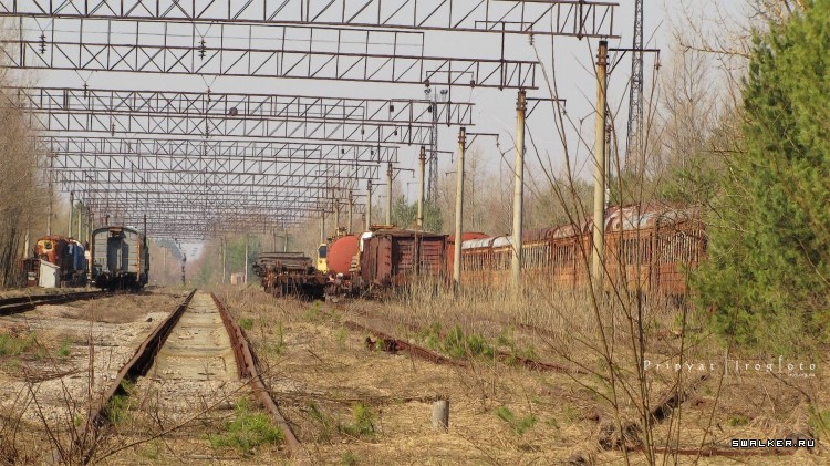 Чернобыльская зона отчуждения
